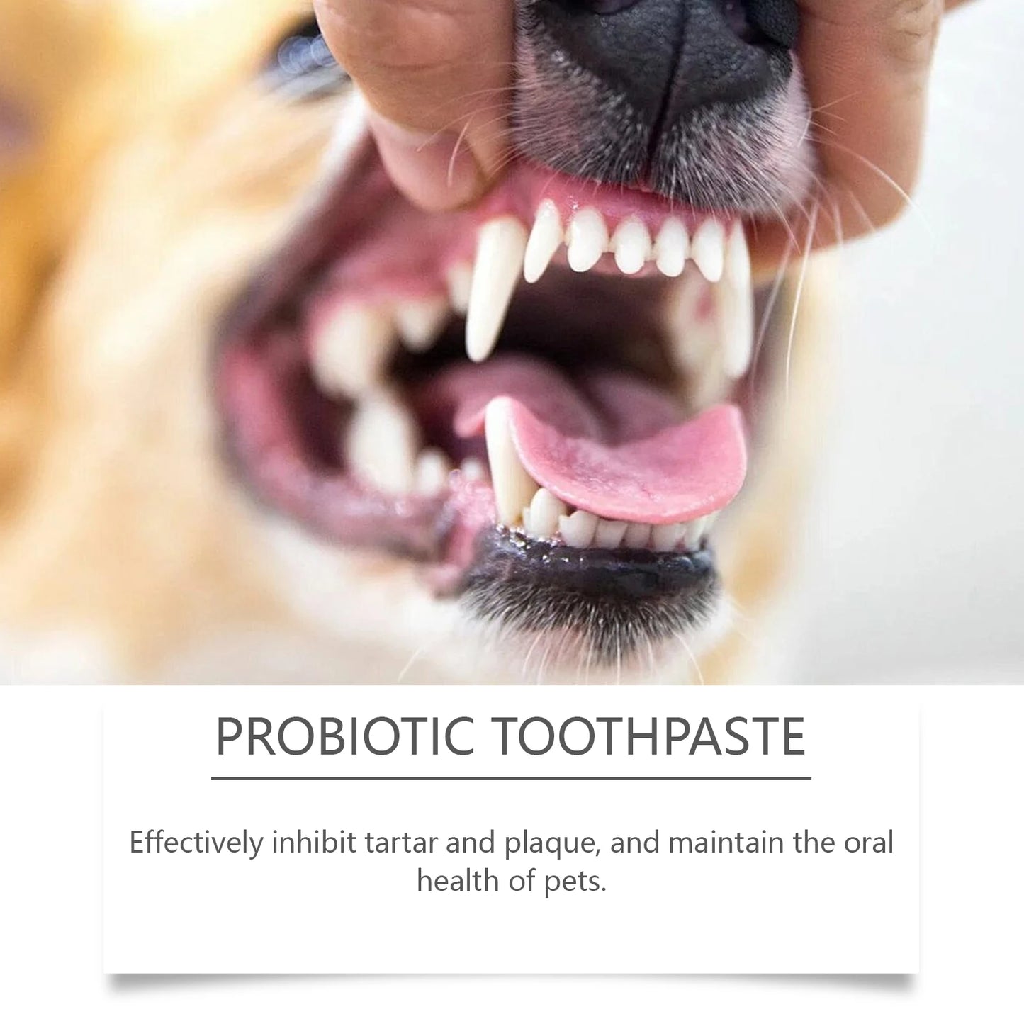 Probiotic Toothpaste for Pets:Eliminates Plaque,Freshens Breath,Gentle Teeth Cleaning&Oral Care,Shared by All Household Pets