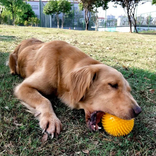 Pet Dog Toys Cat Puppy Sounding Toy TPR Soft Burr Tooth Cleaning Elastic Ball Outdoor Training Interactive Chew Toy Pet Supplies