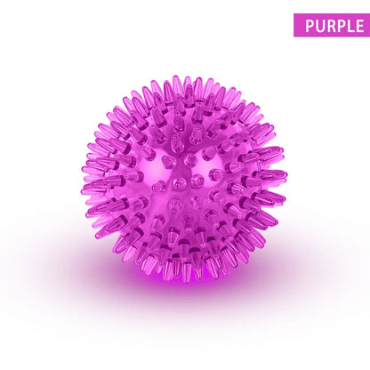 Pet Dog Toys Cat Puppy Sounding Toy TPR Soft Burr Tooth Cleaning Elastic Ball Outdoor Training Interactive Chew Toy Pet Supplies