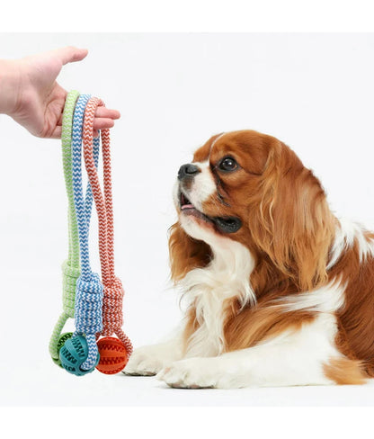 Pet Tooth Cleaning Pet Ball Toy with Rope Rubber Leaking Balls Toy for Small Large Dogs Puppy Chewing Bite Resistant Toys