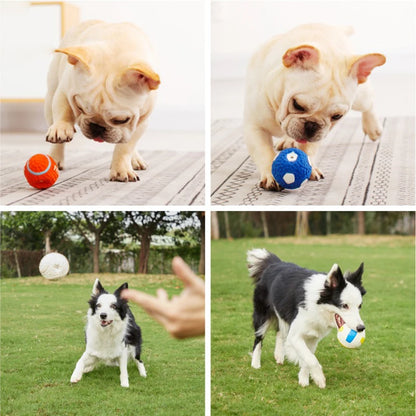 Pet Interactive Dog Toys for Small Medium Large Dogs Cat Teeth Cleaning Improve IQ Squeak Ball Toys Chihuahua Bulldog Supplies