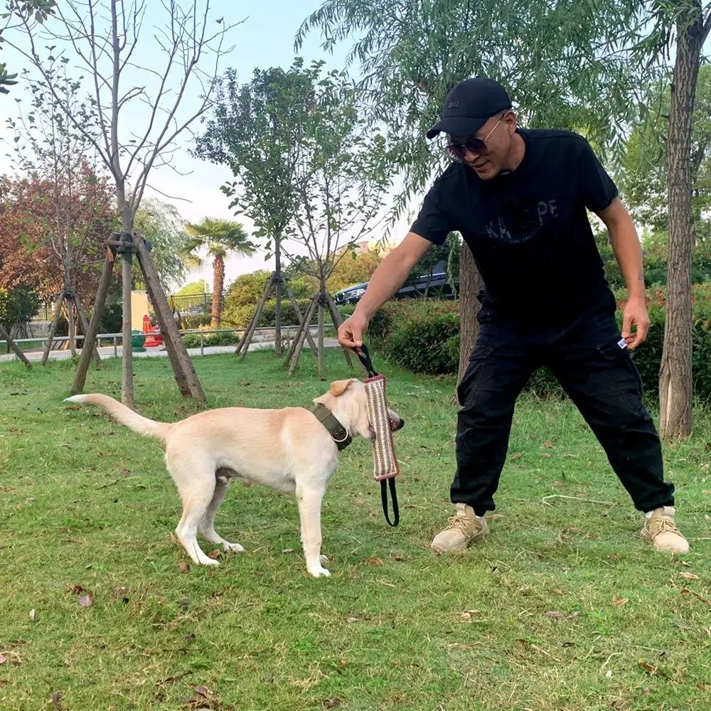 Pet Accessories Bite-resistant Dog Bite Pillow Rope Handles Durable Pet Chew Sticks Interactive Dog Tug Toy Teeth Grinding