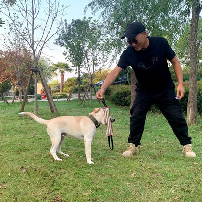 Pet Accessories Bite-resistant Dog Bite Pillow Rope Handles Durable Pet Chew Sticks Interactive Dog Tug Toy Teeth Grinding