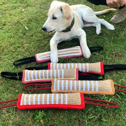 Pet Accessories Bite-resistant Dog Bite Pillow Rope Handles Durable Pet Chew Sticks Interactive Dog Tug Toy Teeth Grinding