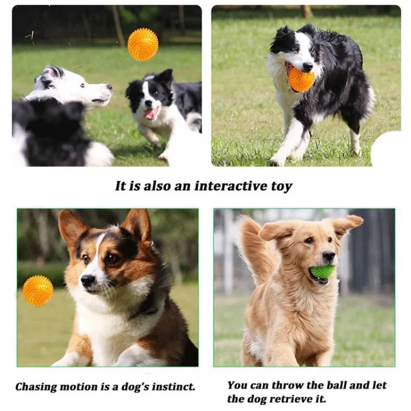Pet Dog Toys Cat Puppy Sounding Toy TPR Soft Burr Tooth Cleaning Elastic Ball Outdoor Training Interactive Chew Toy Pet Supplies